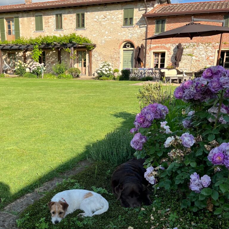 olimagio farmstay tuscany accommodations casale img