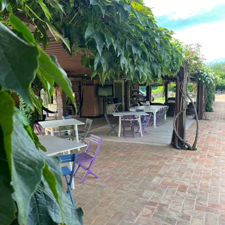 olimagio farmstay tuscany accommodations casale img