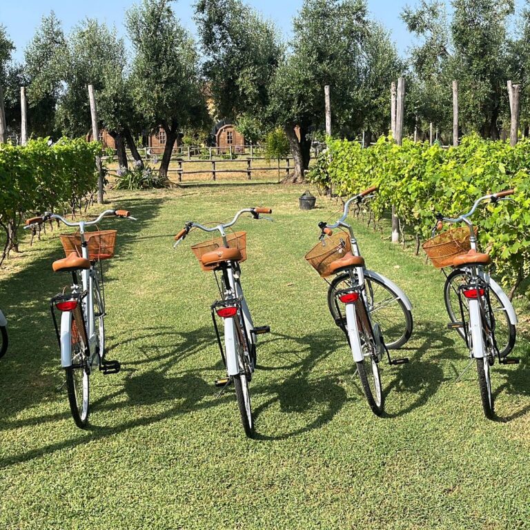 olimagio farmstay tuscany accommodations farm d db c b eabdcf
