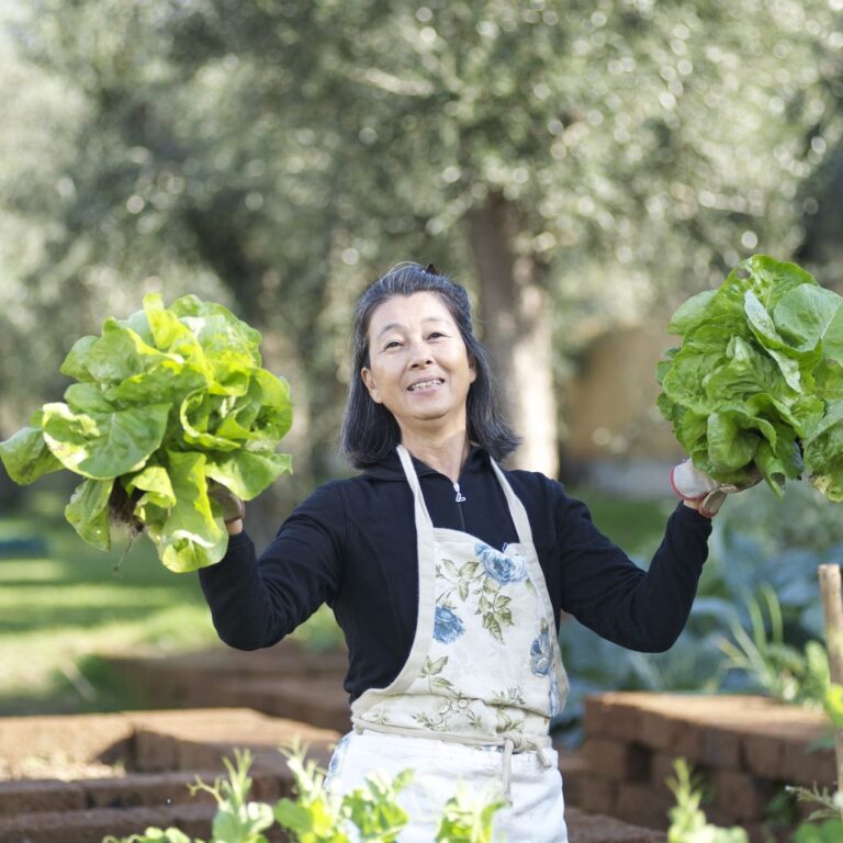 olimagio farmstay tuscany accommodations farm dsc