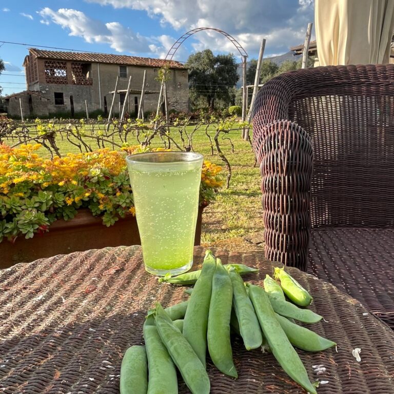 olimagio farmstay tuscany accommodations farm img