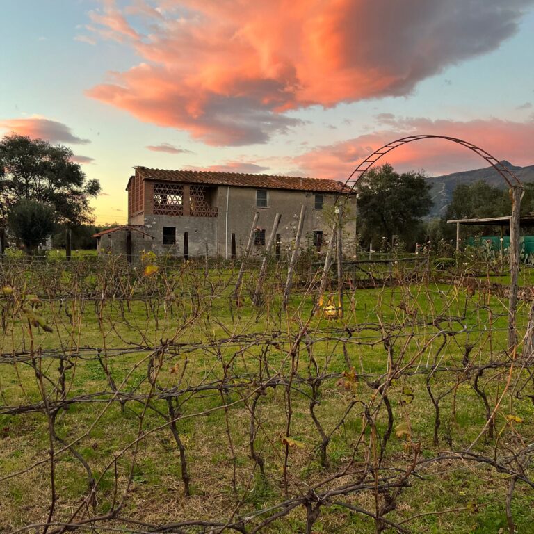 olimagio farmstay tuscany accommodations farm img