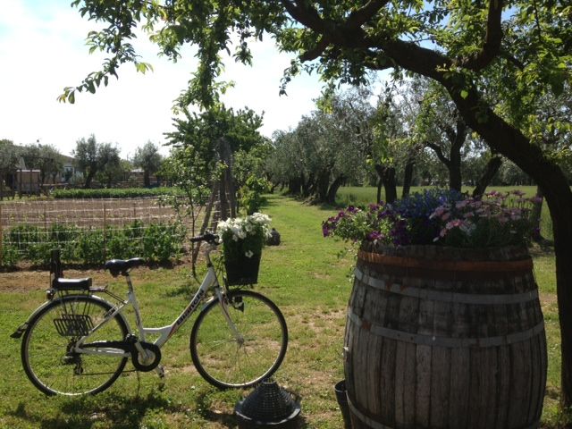 olimagio farmstay tuscany accommodations farm piantare fiori